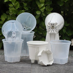 pots plantes auto arrosants transparents moderne blanc plateau d'eau