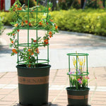 supports plantes pots fleurs treillis anneaux circulaires jardin decoration verticale horizontal roses orchidées SUNAROUD