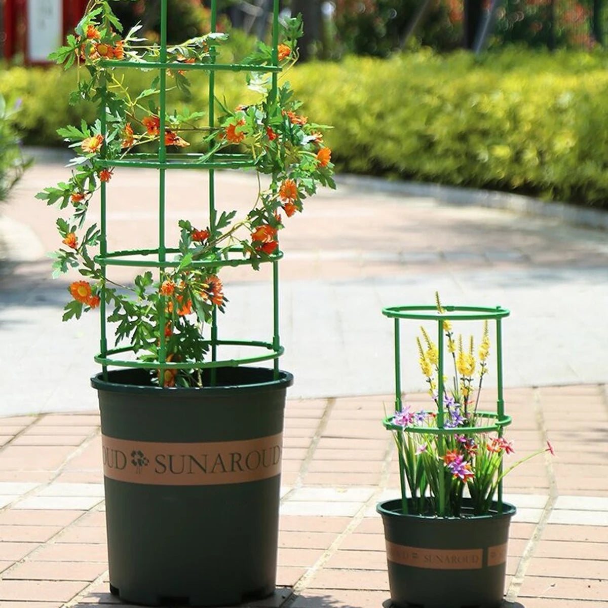 supports plantes pots fleurs treillis cages circulaires anneaux verticaux jardin decoration exterieure roses fleurs