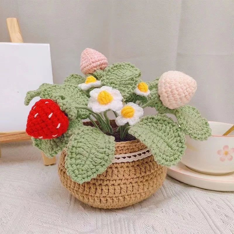 Kit de tricot fraise en pot DIY