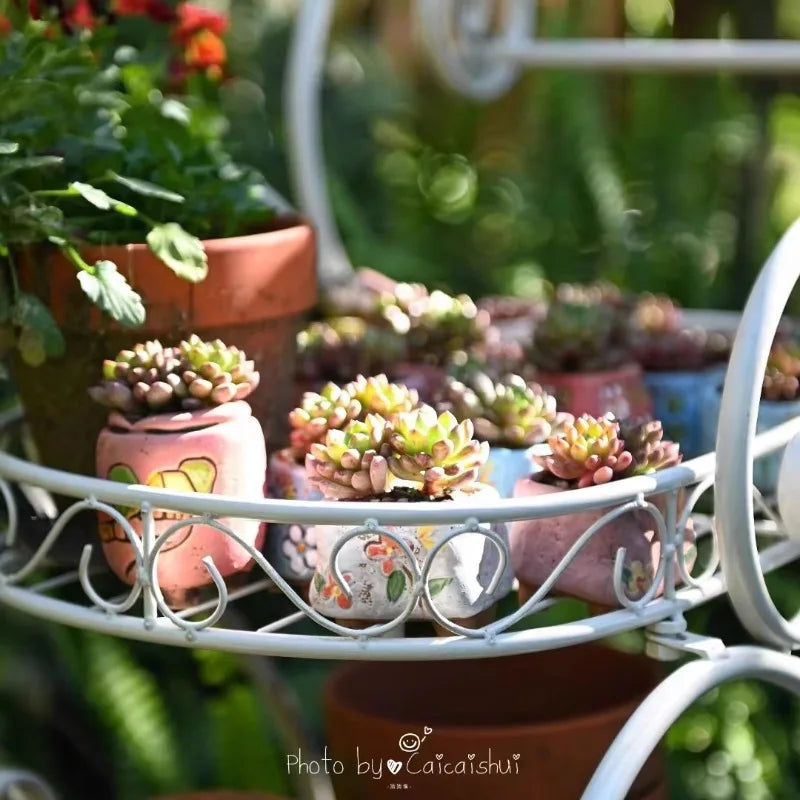 support mobile fleurs étagère métal vintage deux niveaux roues blanc gris bleuté Pods différentes