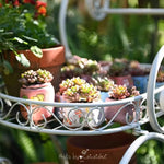 support mobile fleurs étagère métal vintage deux niveaux roues blanc gris bleuté Pods différentes