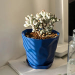 Pots plantes vertes durables multifacettes couleurs blanc orange bleu moderne