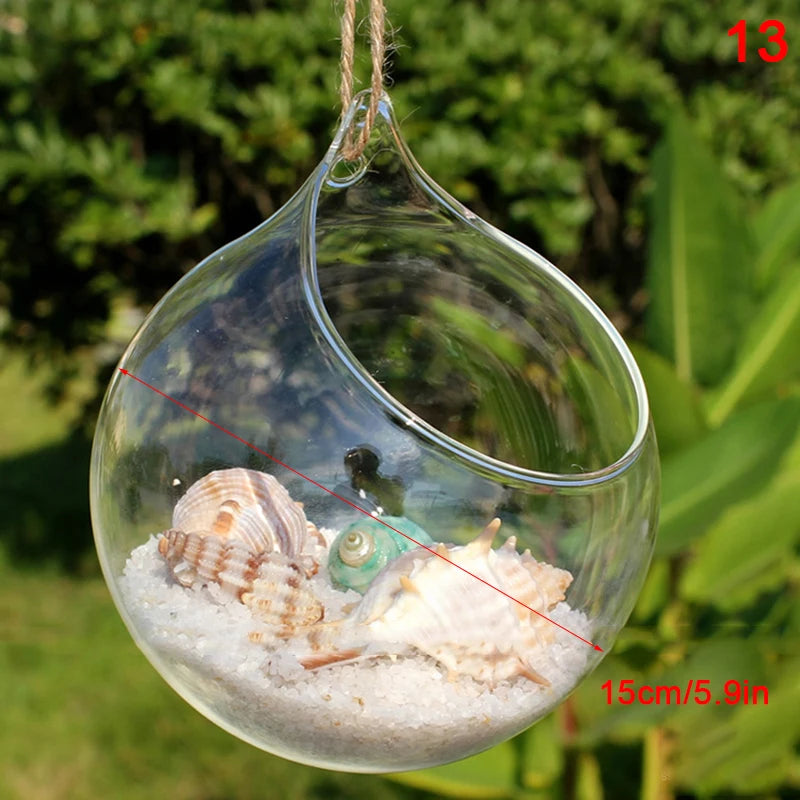 terrarium suspendu verre transparent plante mousse fleur moderne minimaliste