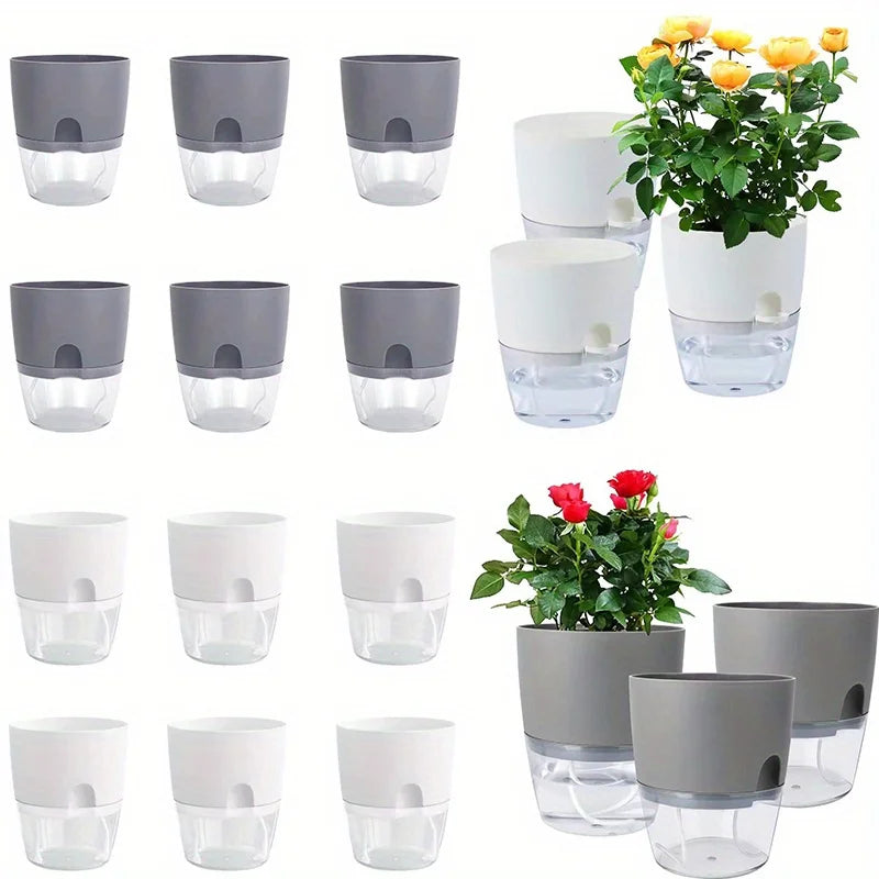 pots fleurs auto arrosage moderne gris blanc transparents plantes vertes dieffenbachia fenêtre niveau eau