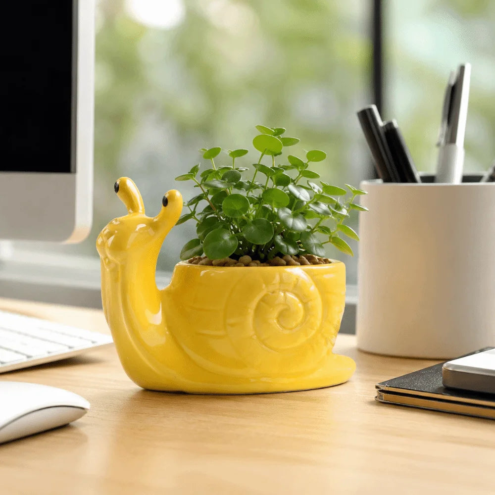 cache pot escargon sculpté créatif animalier jaune vert bleu rouge blanc maison