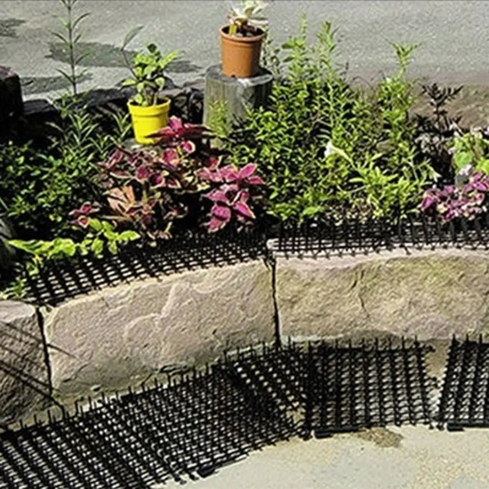 grille anti chat noir maille régulière moderne protection animaux efficaceextérieur maison picots répulsif