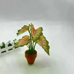 plantes miniatures pots terre cuite feuilles vertes roses oranges décoratives maison poupée