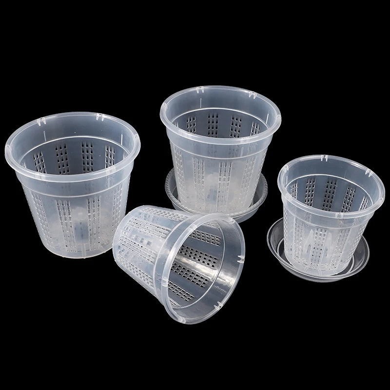 pots fleurs transparents perforés modernes assiette drainage jardinière jardin domestique