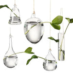 vase suspendu verre transparent moderne plante hydroponique décoration intérieure minimaliste fixations cordelette portable terrarium