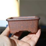 Pot bonsaï argile marron texture gréseuse motifs géométriques classique rustique fleur plante verte décoration