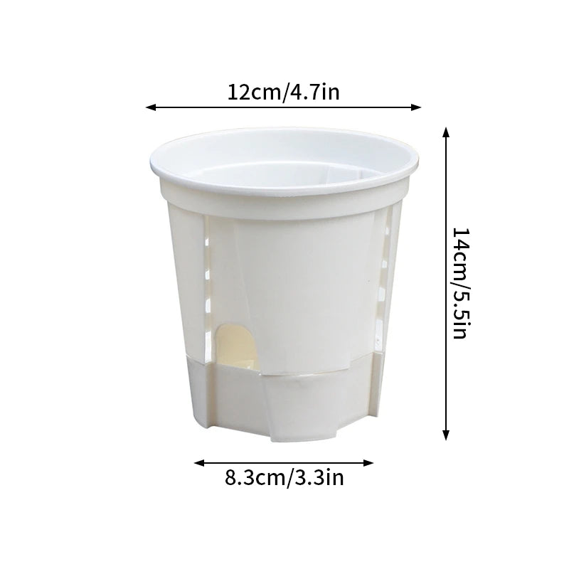 pots plantes auto arrosants transparents moderne blanc plateau d'eau