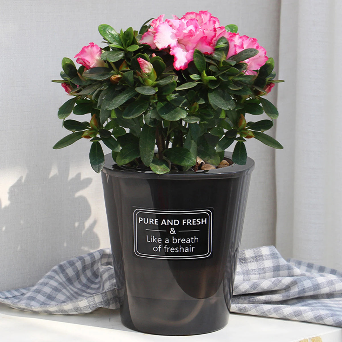 bacs pépinière plastique moderne pot d'eau auto arrosage plante verteintérieur designhydroponique