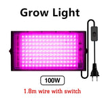 lampe led full spectrum 50w 100w noir blanc rose moderne clips cabled interrupteur grow