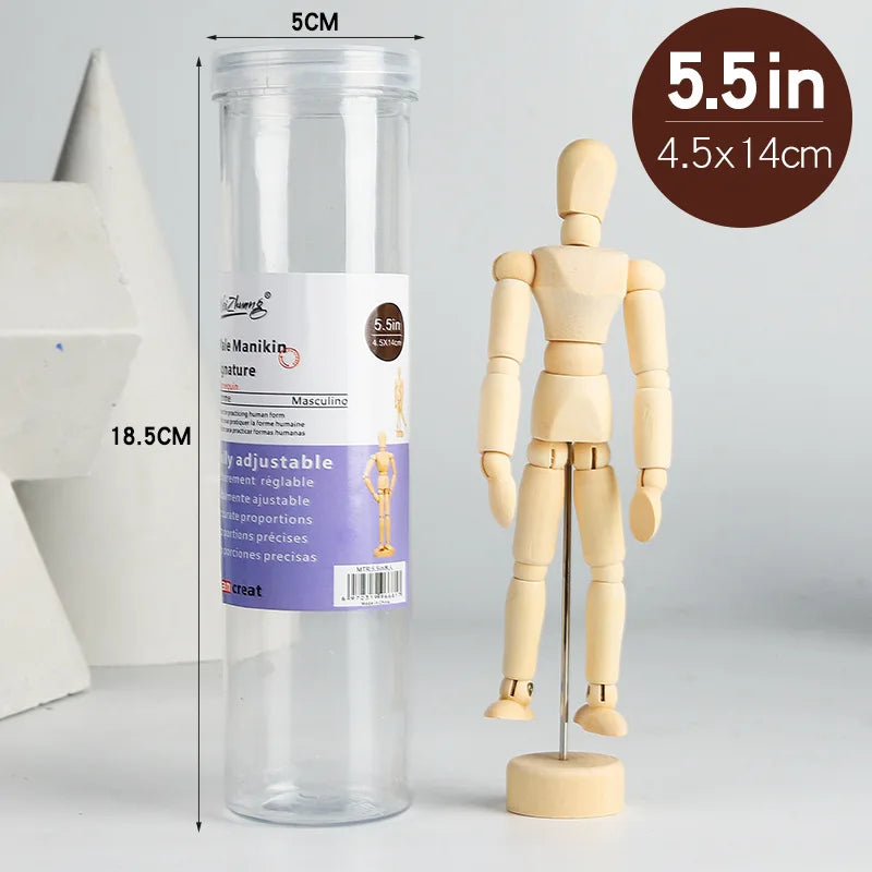 mannequins articulés bois classiques tailles diverses naturel clair base circulaire minimalistes adultes