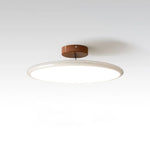 plafonnier moderne rond vert beige marron lisse opaqué télécommande led 40cm 50cm lumière chaude