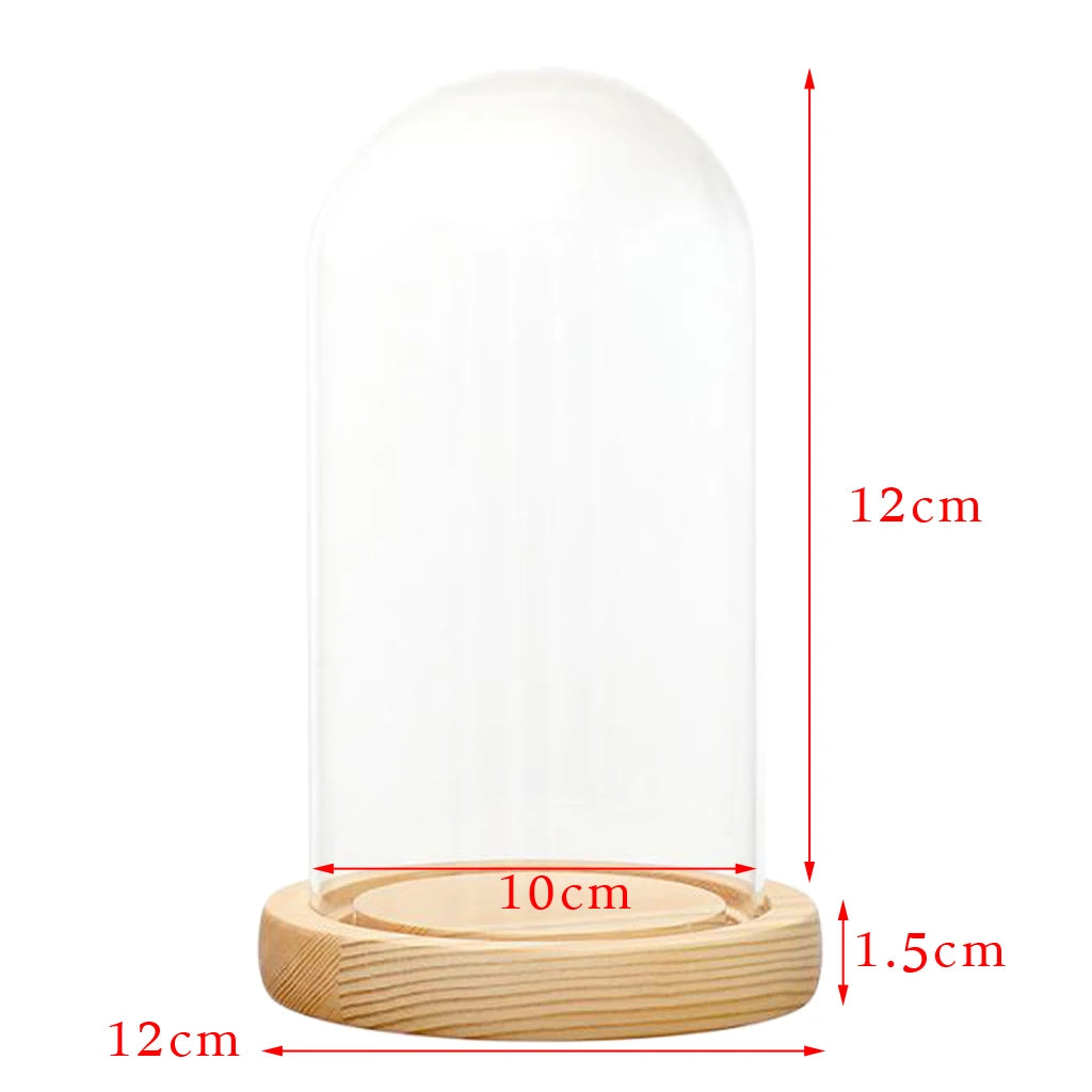cloche verre transparent base bois cloche led decoration intérieure terrarium vase paysagiste