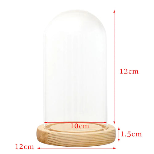 cloche verre transparent base bois cloche led decoration intérieure terrarium vase paysagiste