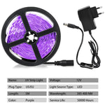 bande lumineuse led uv 12v 5m spirale violet moderne cosmétiques billets linge pierres