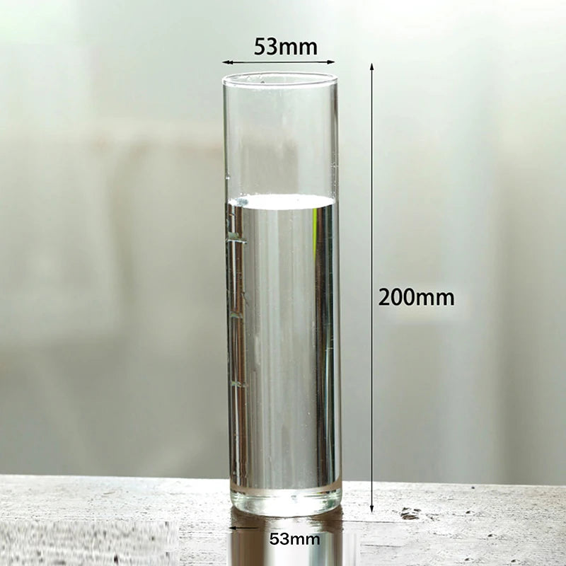 vase verre transparent moderne décoration intérieure chambre fleurs artificielles inclusion hydroponique