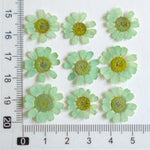 fleurs séchées multicolores bijoux résine décoration ongles maison intérieure artisanal anniversaire naturelles