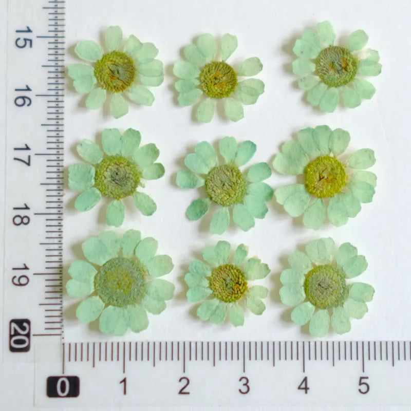 fleurs séchées multicolores bijoux résine décoration ongles maison intérieure artisanal anniversaire naturelles