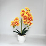 décoration intérieure orchidées artificielles fleurs douces rose blanc pot blanc gravier moderne élégant accroché