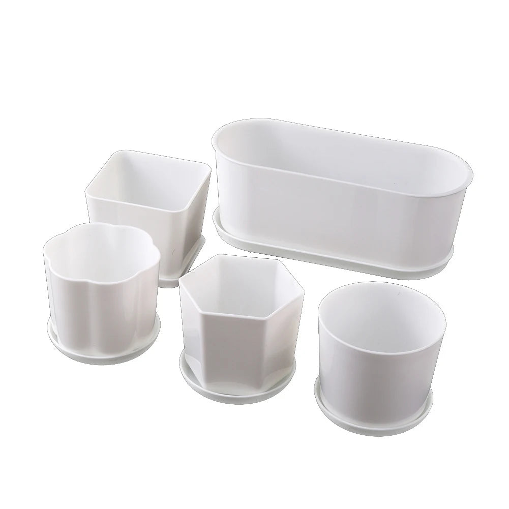 pot fleurs blanc moderne plateau succulentes bonsaï plastique
