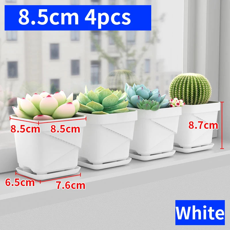 petit pot fleurs blanc plastique moderne cactus succulentes plateau intégré