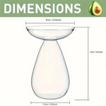 vase transparent moderne plante graine avocat culture hydroponique décoration maison minimaliste