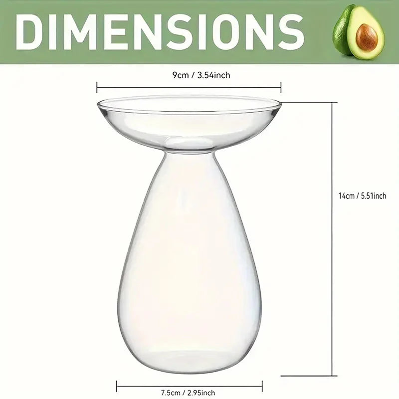 vase transparent moderne plante graine avocat culture hydroponique décoration maison minimaliste