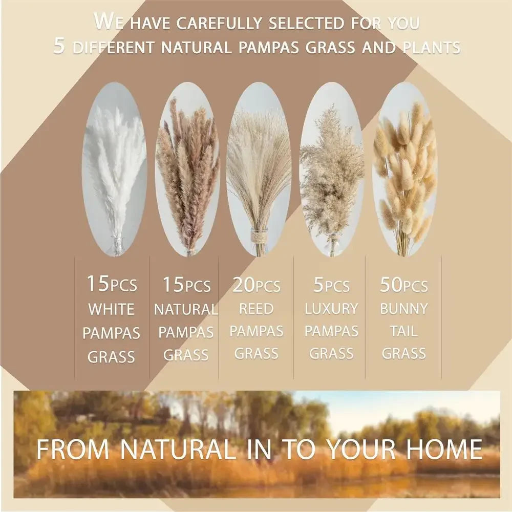 bouquet pampas séchés boho décoration intérieure beige crème marron clair fibres fines ruban vase
