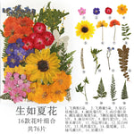 fleurs séchées multicolores naturelles variées feuilles séchées décor maison artisanat enfant autocollants journal