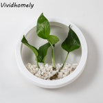 pot hydroponique mural moderne blanc noir rose bleu clair fixé mur transparent uni