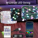 guirlande lumineuse led rgb adressable usb decoration noel mariage jardin fil transparent vert noir