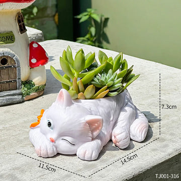 chat mignon pot succulentes plante verte deco maison balcon salon dessin animé