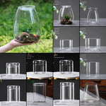 terrarium verre transparent plantes artificielles décoration miniature intérieur moderne décoratif