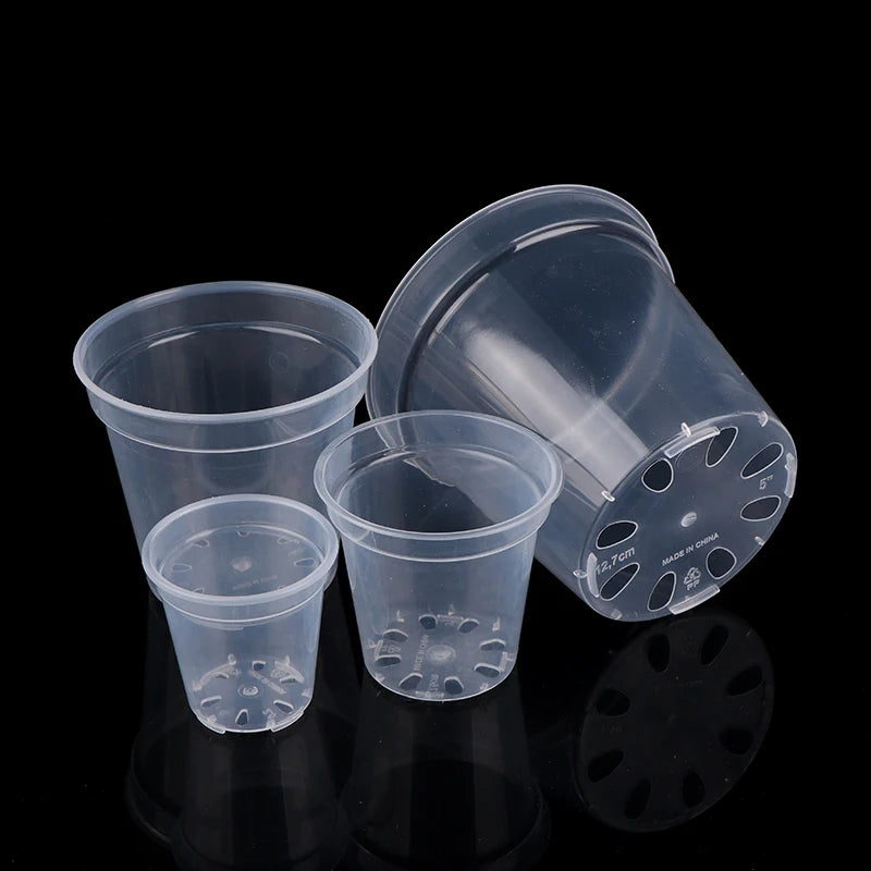 jardin moderne pot semis transparent rond fleur plante verte perforations fond plastique