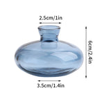 vase verre transparent moderne rose décoration intérieur hydroponique fleuri table studio