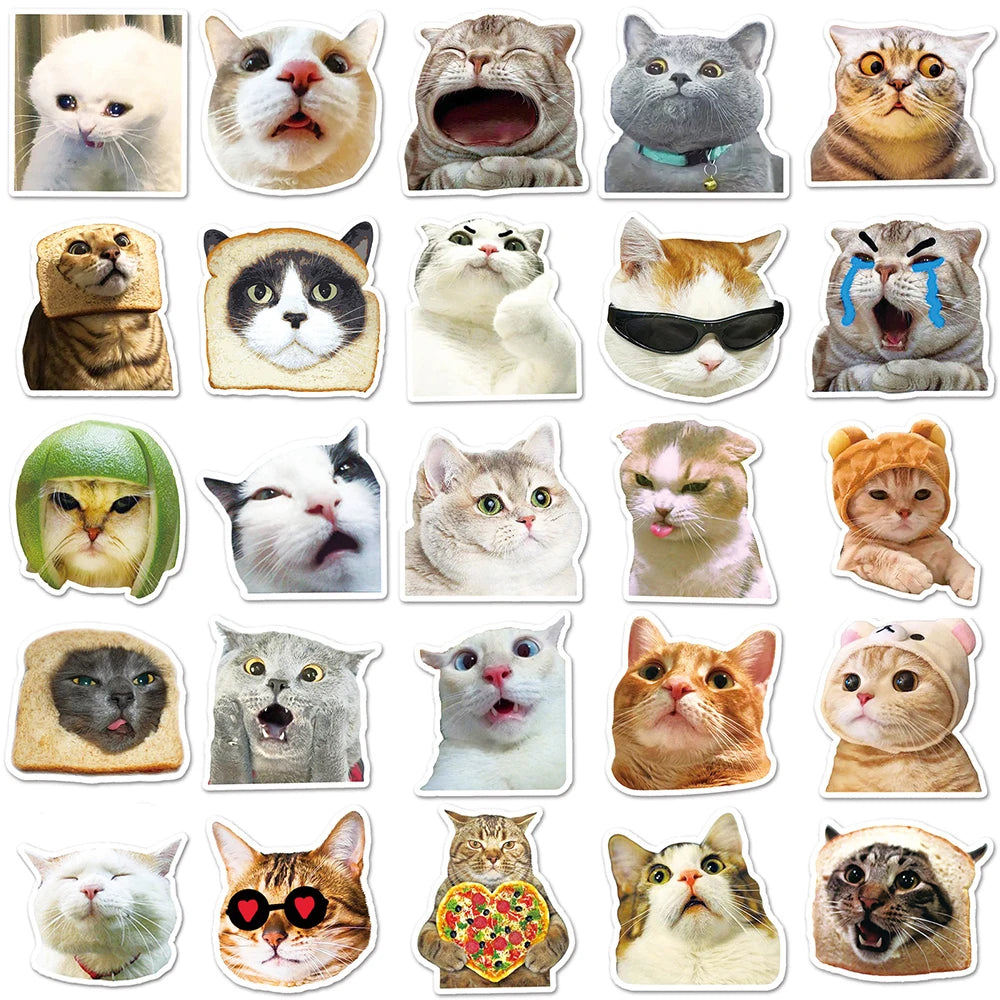 stickers adhésifs chats expressions faciles utiliser variés cartoongrats décoration jouets différents amusants