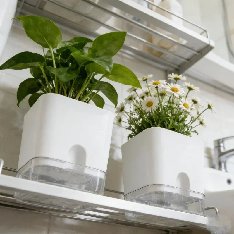pots fleurs auto arrosants blancs pots plantes intérieur extérieur balcon jardin transparents modernes minimalistes