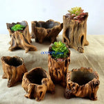 jardinière cache pot tronc arbre marron rustique plante succulente texture bois naturelle balcon jardin
