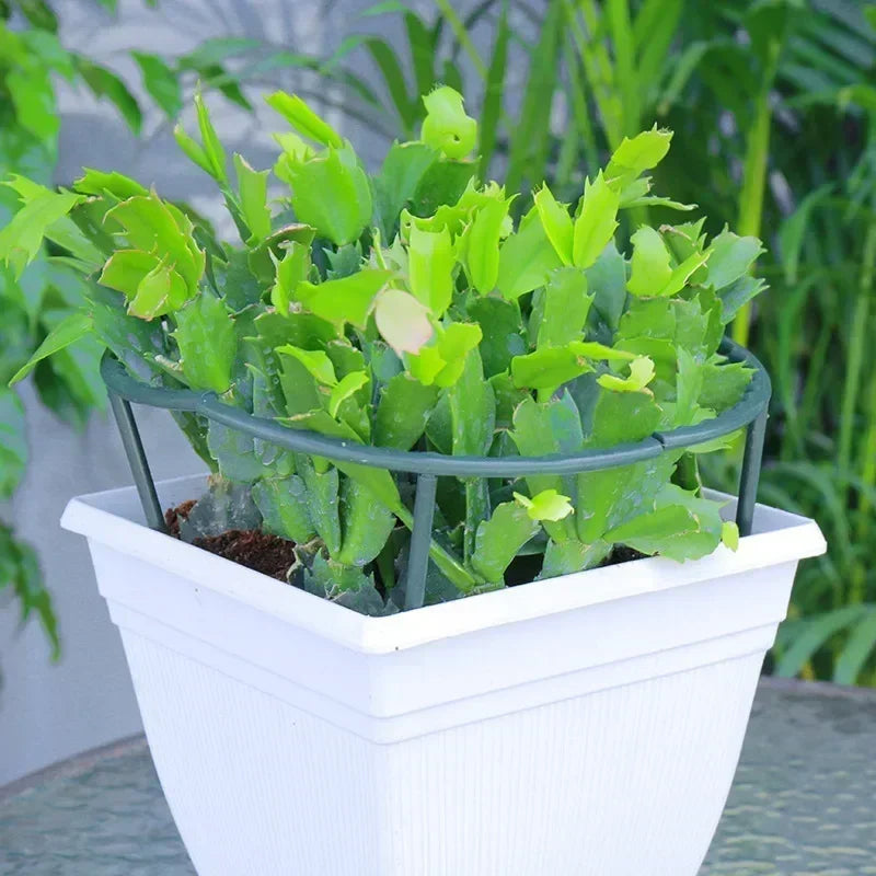 Support plante vert rond moderne 16cm 27cm plastique lisse pièces