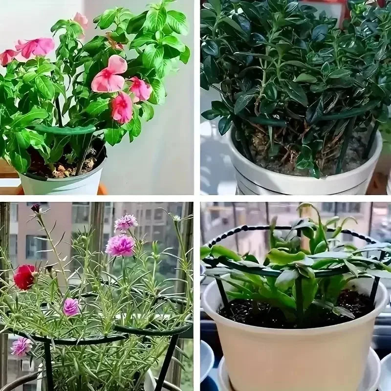 Support plante vert clips moderne 14cm 24cm 1pc 4pc 8pc 16pc