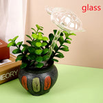 décorations plantes formes animales oiseau flamant sphères transparentes moderne vert orange rose bleuclair