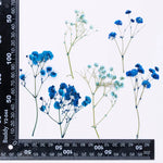 bouquet fleurs séchées naturelles variées bleu vert violet rouge jaunes ornement intérieur décoration artisanale