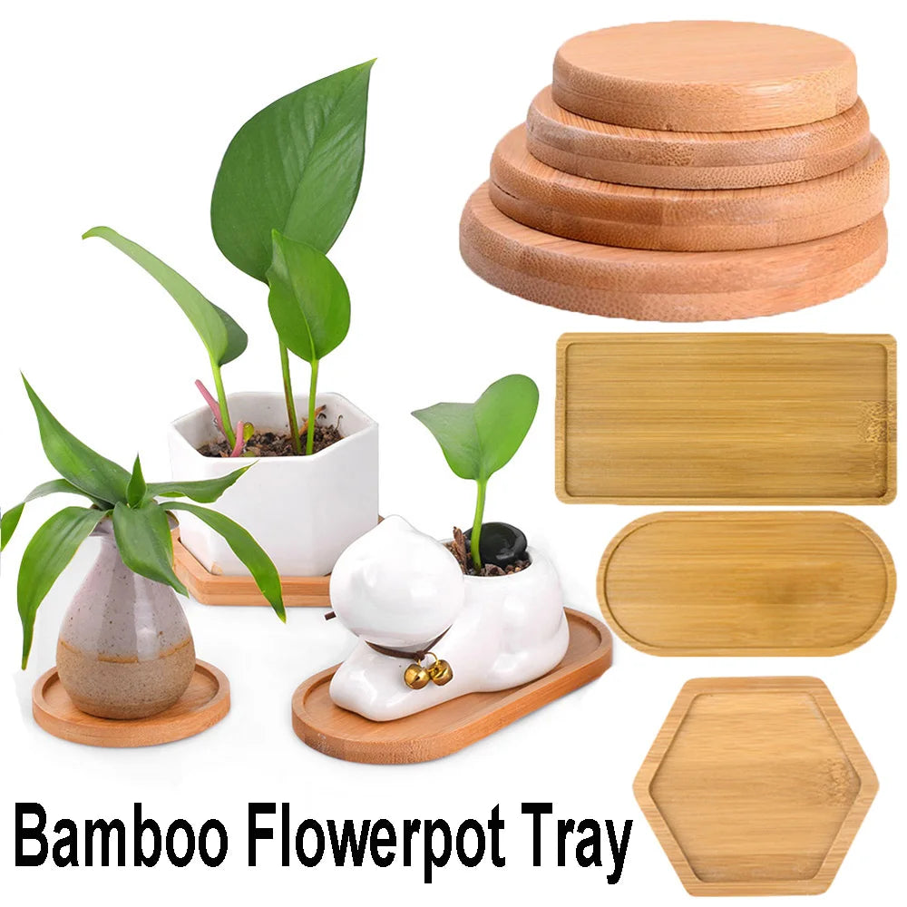 plateaux bambou différents modernes plateaux fleurs lisses naturels tailles variées maisonDecoration minimalistes
