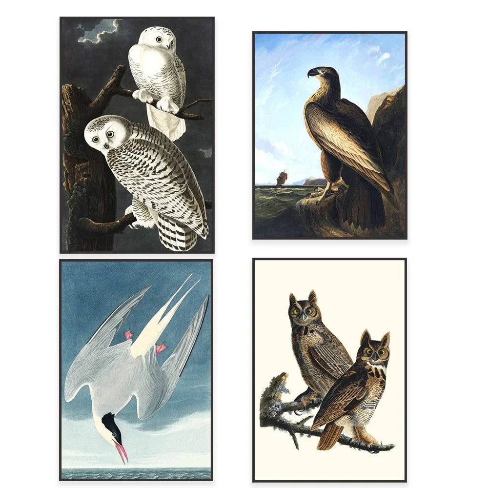 Cette image présente quatre illustrations d'oiseaux différents, notamment des hiboux, un faucon et une grue, dans divers environnements.