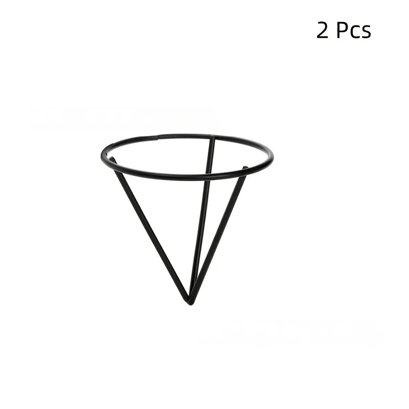 support germination avocat vase verre socle bois transparent structure metallique noire racines pousse