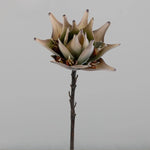 fleurs artificielles king protea blanc vert rose decoration maison anniversaire mariageintérieur